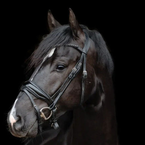 EQUESTRIAN STIRRUP CUSHION COVER BLACK/BROWN